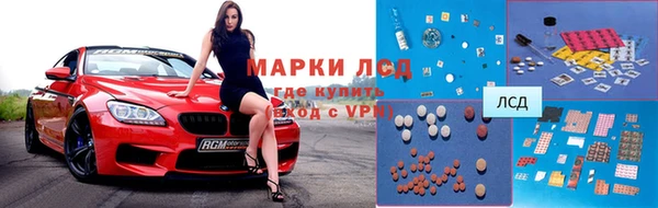 амф Новокубанск