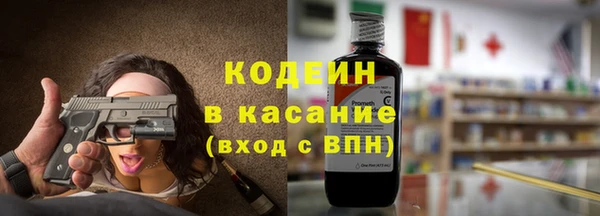 прущие грибы Новодвинск