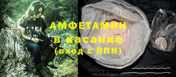 прущие грибы Новодвинск