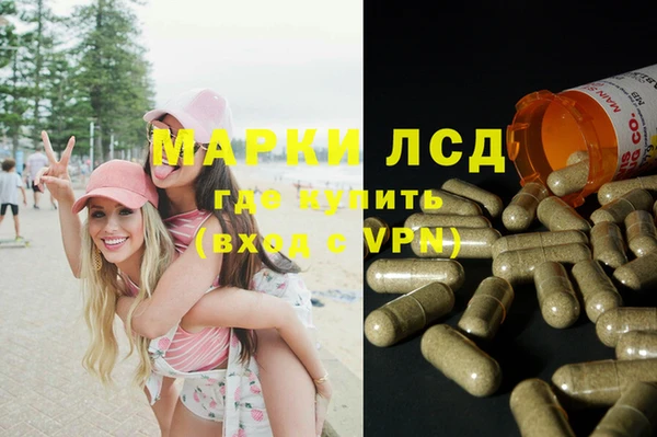 амф Новокубанск