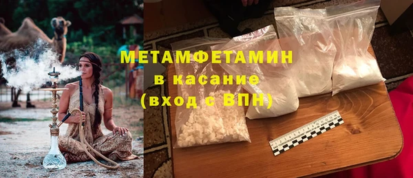 прущие грибы Новодвинск