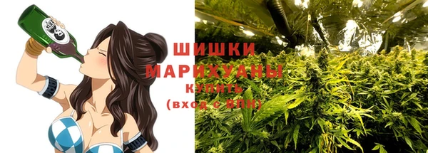 амф Новокубанск