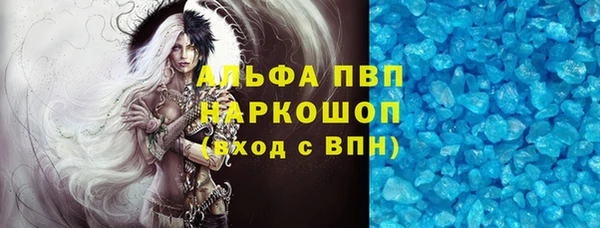 прущие грибы Новодвинск