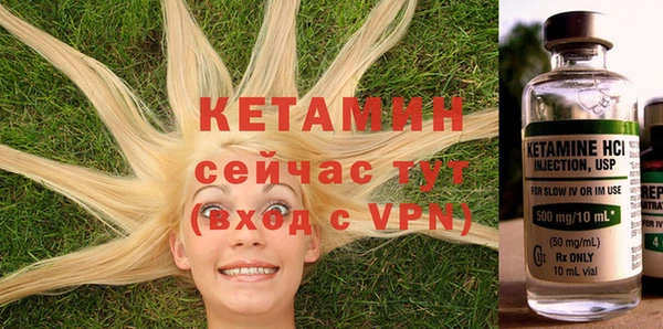 прущие грибы Новодвинск