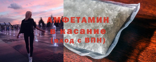 прущие грибы Новодвинск