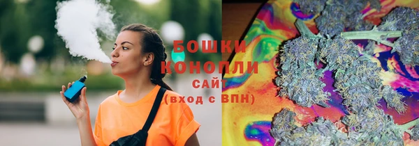 прущие грибы Новодвинск