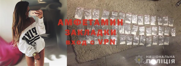 шишки Кодинск